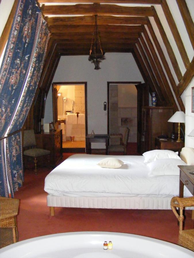 Chateau De Chissay, Hotel De Charme Pres De Chenonceau Et Le Zoo De Beauval Kültér fotó